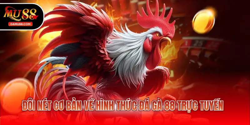 Đôi nét cơ bản về hình thức đá gà 88 trực tuyến