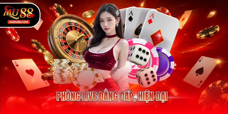 Phòng live đẳng cấp, hiện đại
