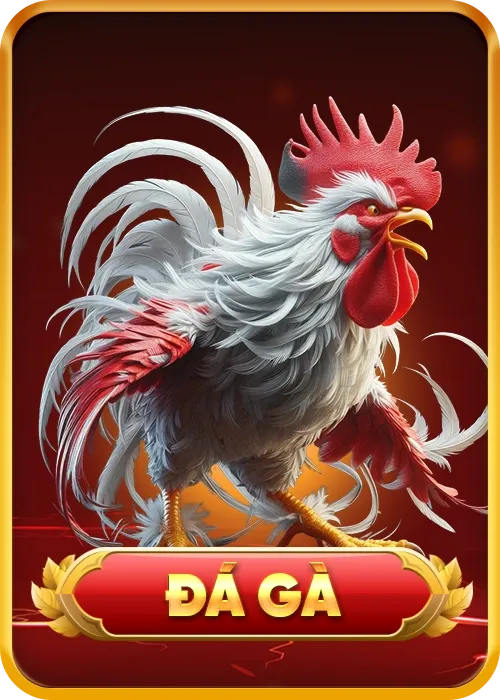Đá gà